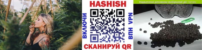 ГАШ гарик  Купить где  Шацк 